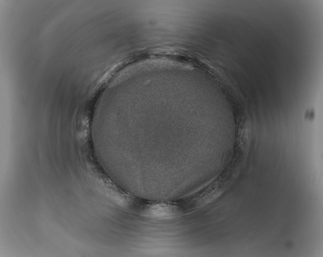 X0000113570708200910021629