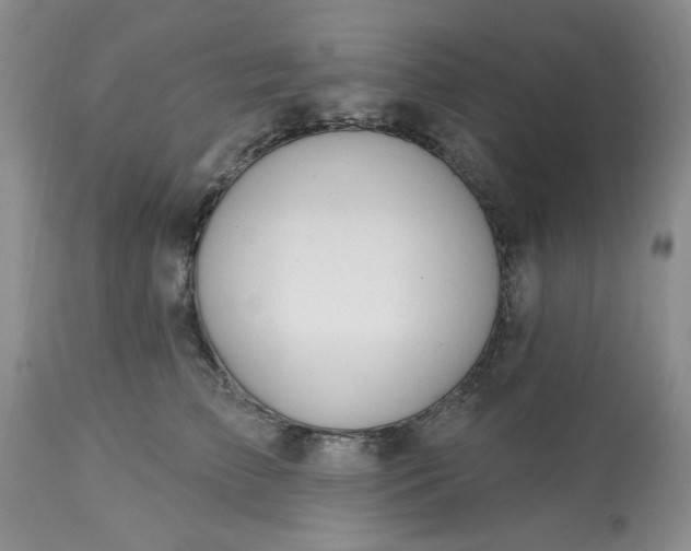 X0000113570709200910021629