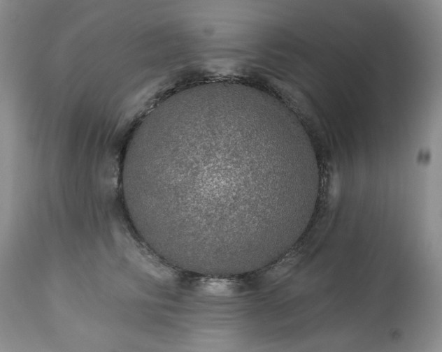 X0000113570710200910021629