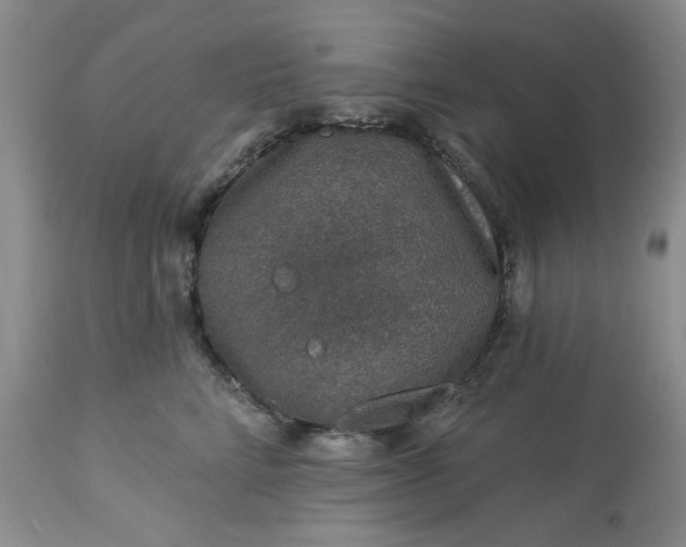 X0000113570712200910021629