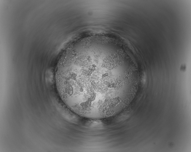 X0000113570715200910021629