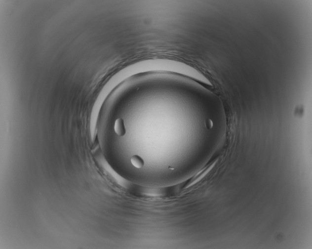 X0000113570716200910021629