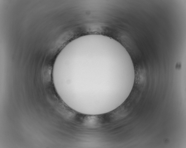 X0000113570717200910021629