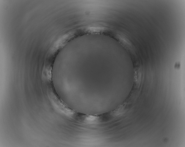 X0000113570718200910021629