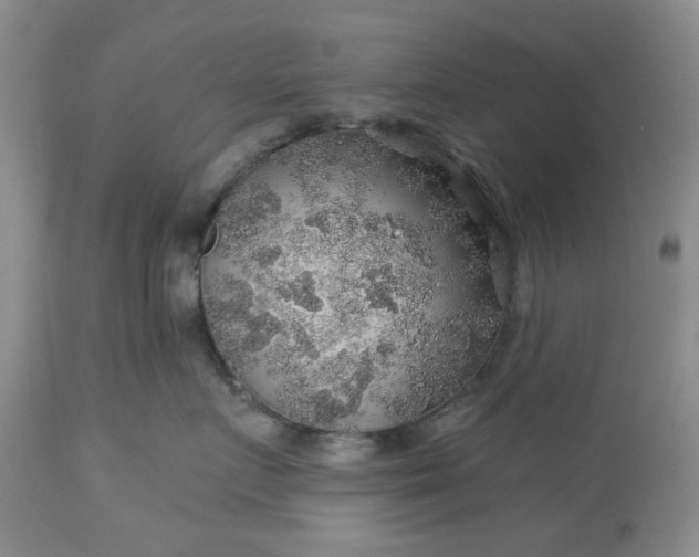 X0000113570719200910021629