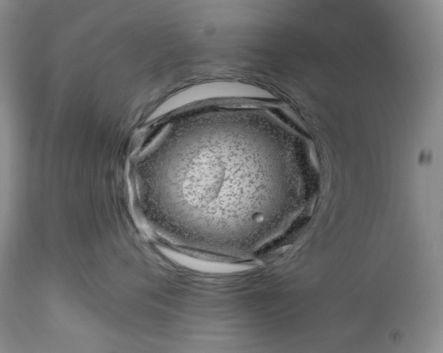 X0000113570720200910021629