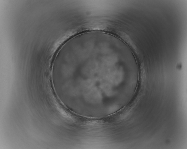 X0000113570721200910021628