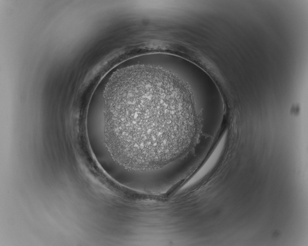 X0000113570722200910021628