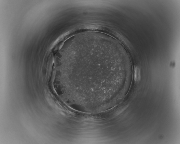 X0000113570723200910021628