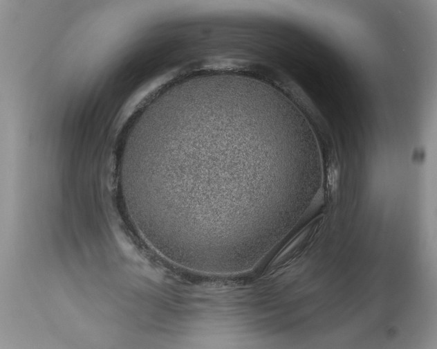 X0000113570724200910021628
