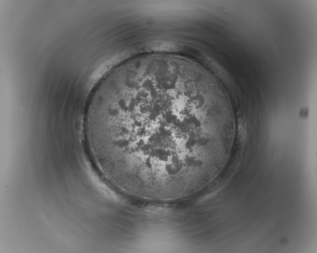 X0000113570725200910021628