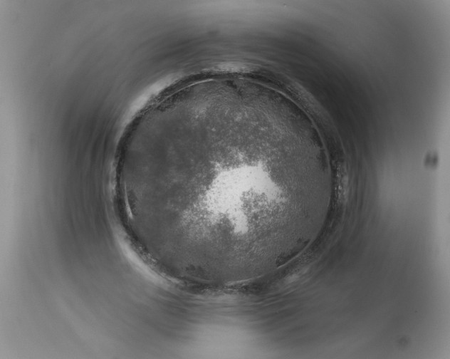 X0000113570726200910021628