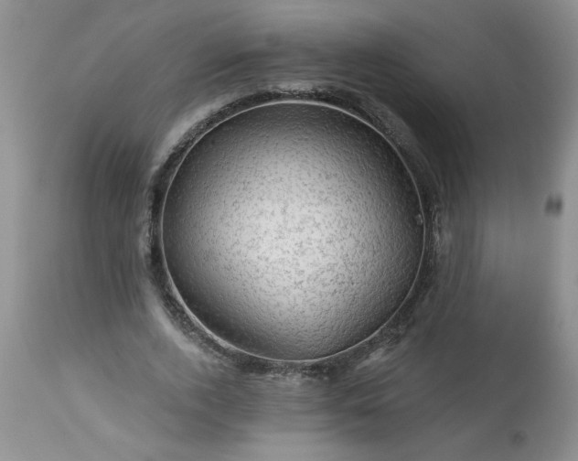 X0000113570728200910021629