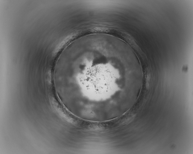X0000113570729200910021629