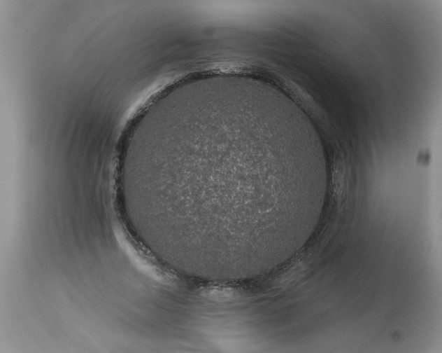 X0000113570730200910021629