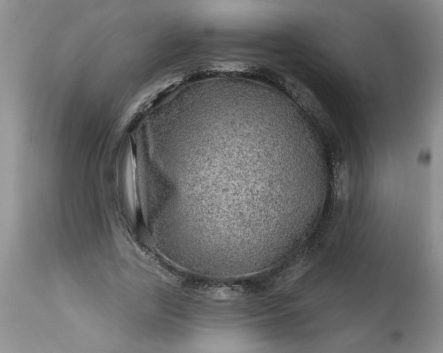 X0000113570731200910021629