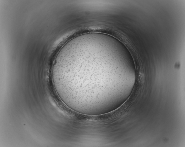 X0000113570732200910021629