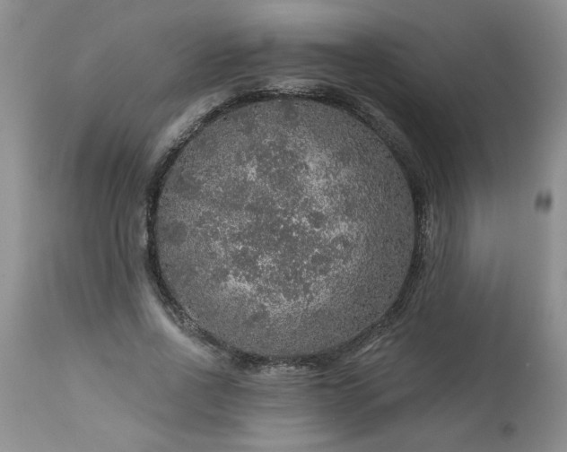 X0000113570734200910021629