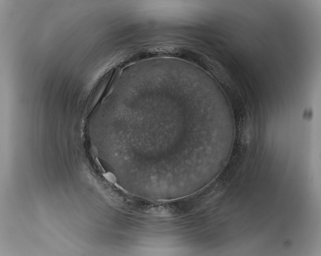 X0000113570735200910021629