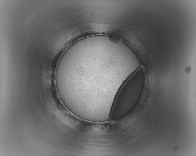 X0000113570736200910021629