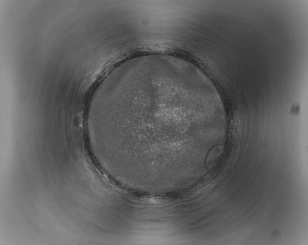 X0000113570739200910021629