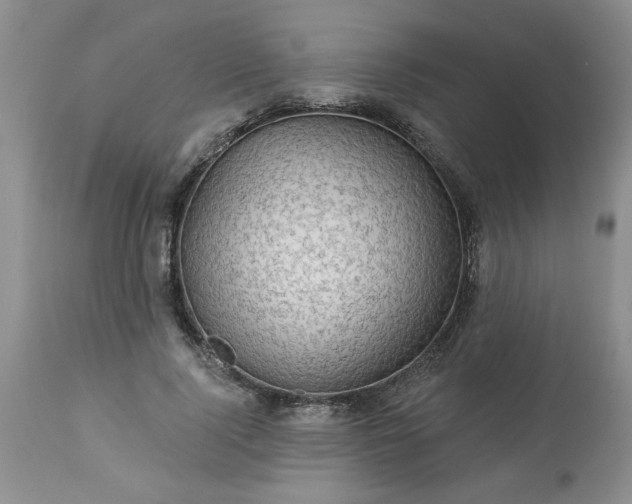 X0000113570740200910021629