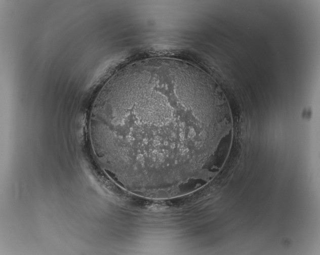 X0000113570742200910021629