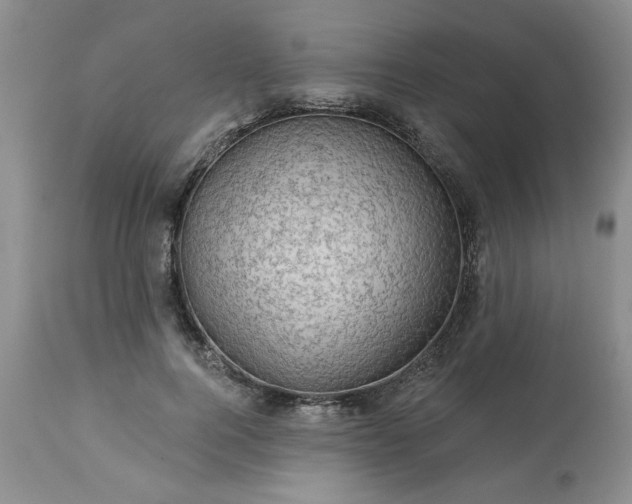 X0000113570744200910021629