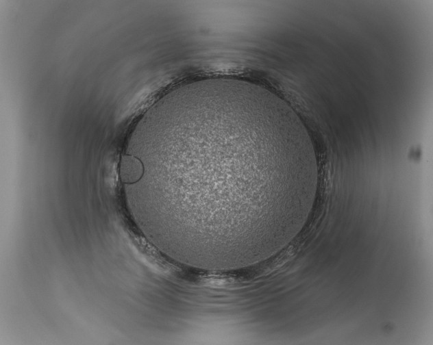 X0000113570746200910021629