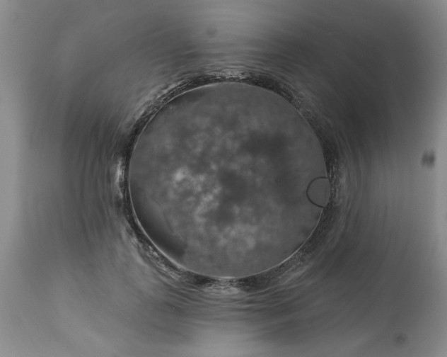 X0000113570747200910021629