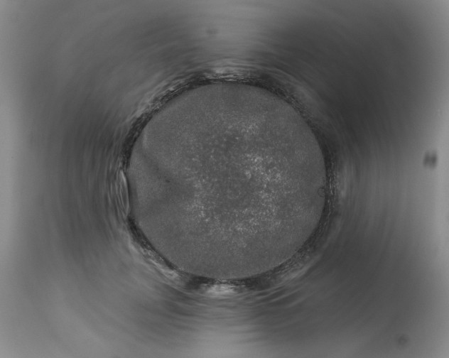 X0000113570751200910021629