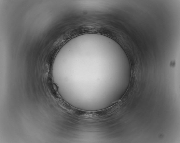X0000113570752200910021629