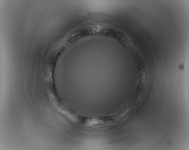 X0000113570754200910021629