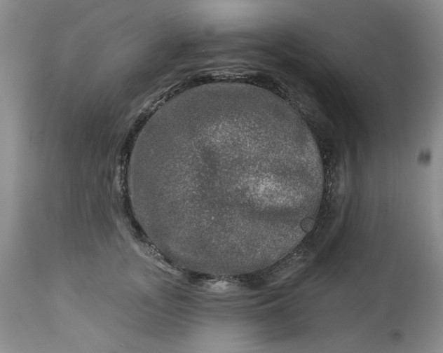 X0000113570755200910021629