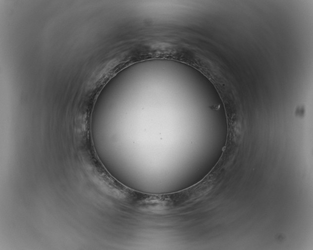 X0000113570756200910021629