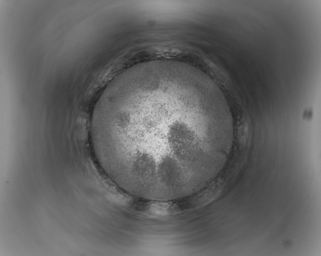 X0000113570757200910021629