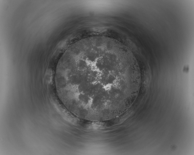 X0000113570758200910021629