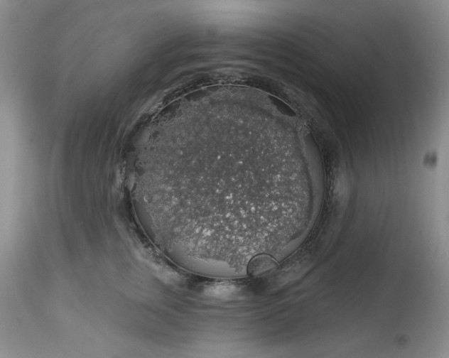 X0000113570759200910021629