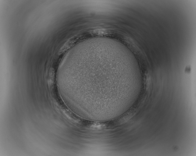 X0000113570760200910021629