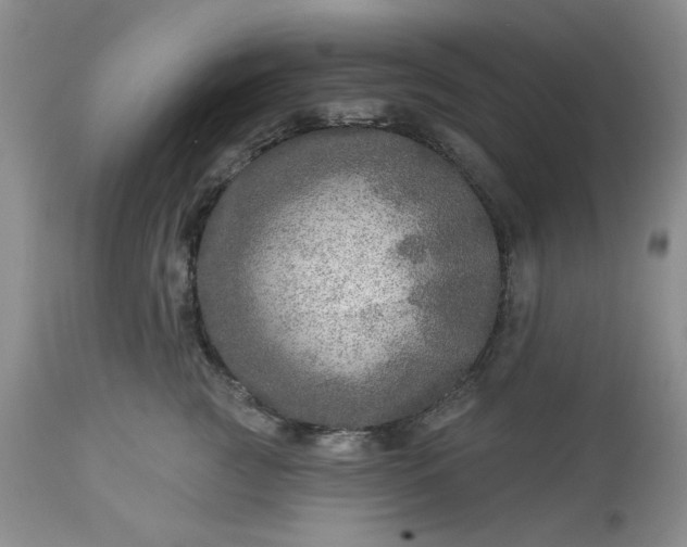 X0000113570761200910021629