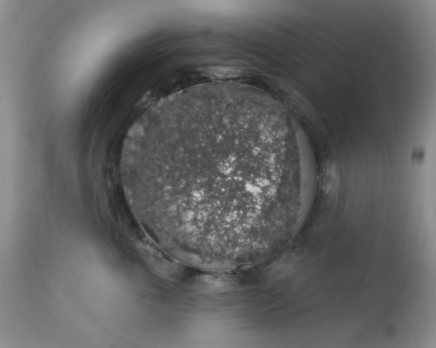 X0000113570763200910021629