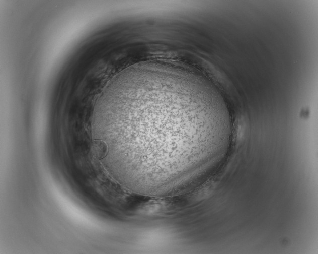 X0000113570764200910021629