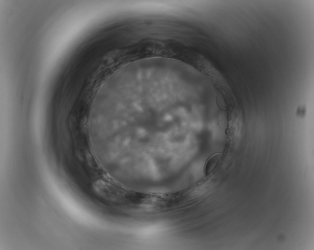 X0000113570765200910021629