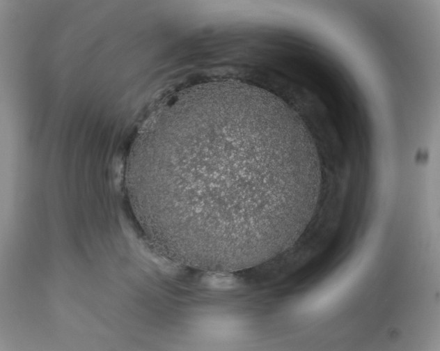 X0000113570767200910021629