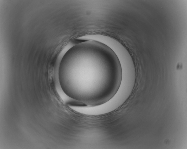 X0000113570768200910021629
