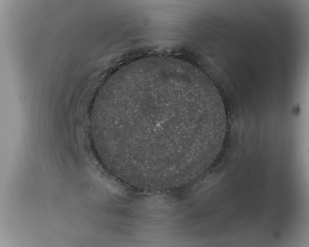 X0000113570769200910021628