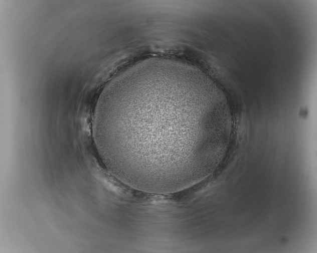 X0000113570770200910021628