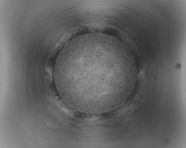 X0000113570772200910021628
