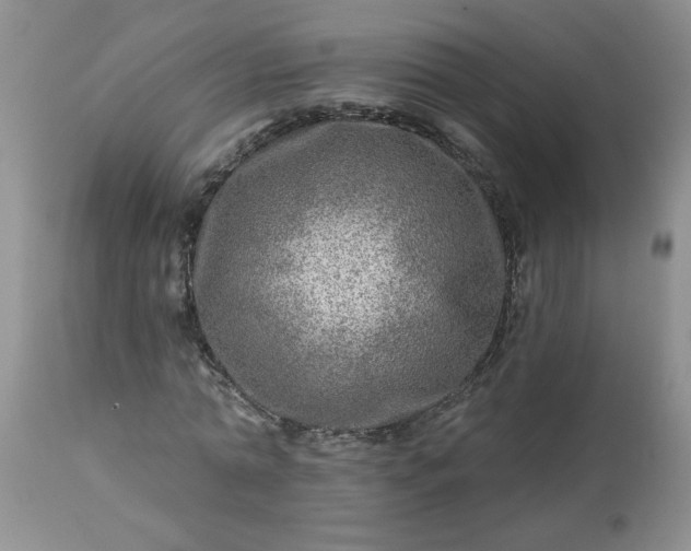 X0000113570774200910021628