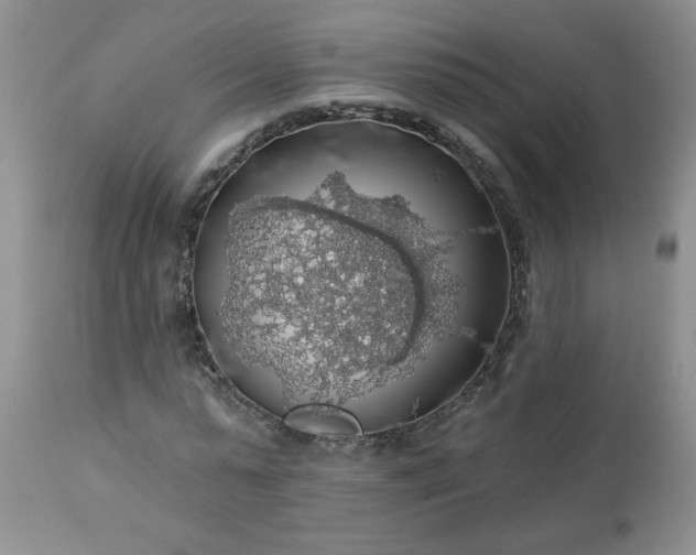X0000113570775200910021628